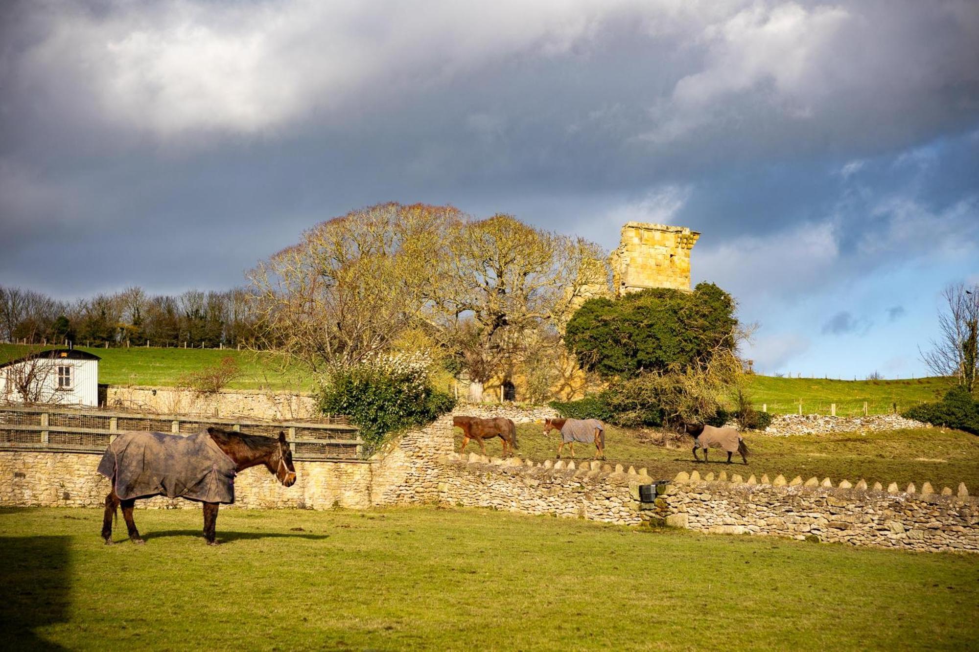 Yew Tree Cottage East Ayton 외부 사진